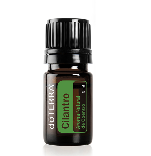 Cilantro  - Aroma Natural de Coentro